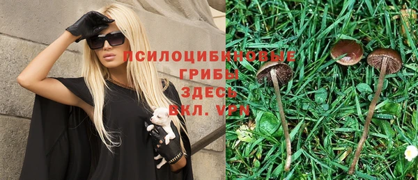 ешки Беломорск