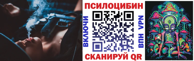 купить наркотик  Элиста  Псилоцибиновые грибы ЛСД 