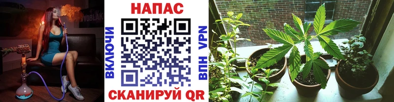 МАРИХУАНА THC 21%  сколько стоит  Элиста 